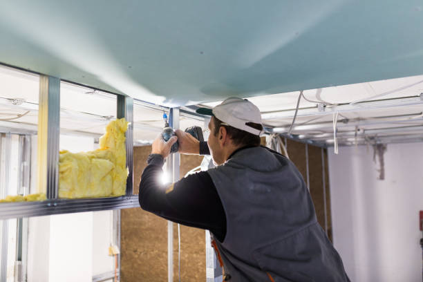 Best Professional Insulation Contractor  in Nappanee, IN