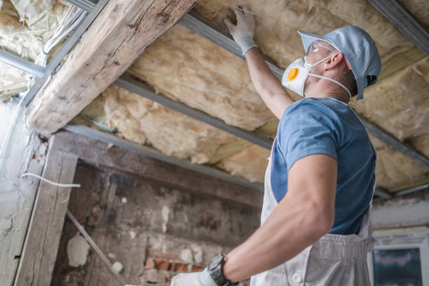 Best Garage Insulation Installation  in Nappanee, IN