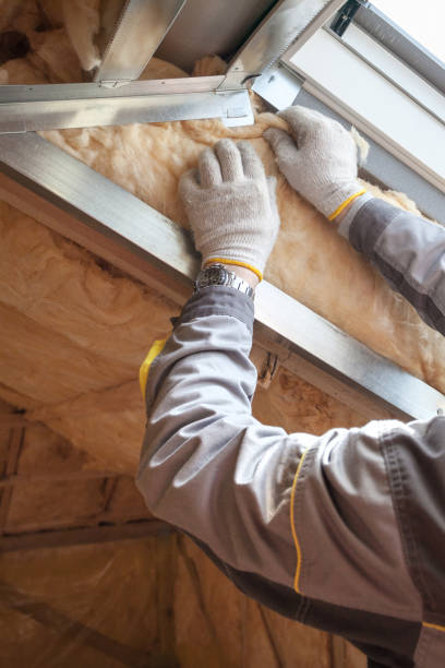 Best Energy-efficient Insulation  in Nappanee, IN