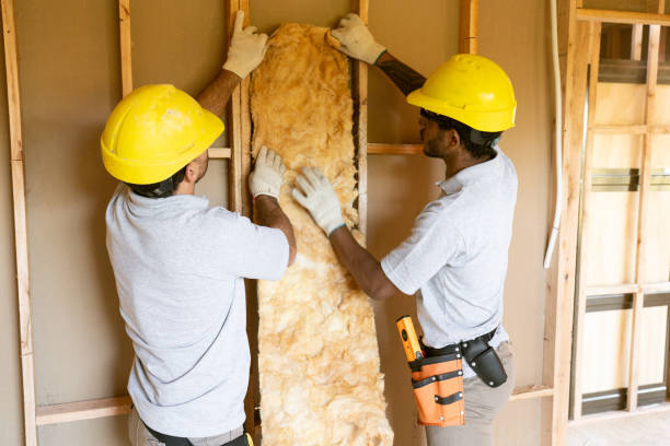 Best Attic Insulation Installation  in Nappanee, IN
