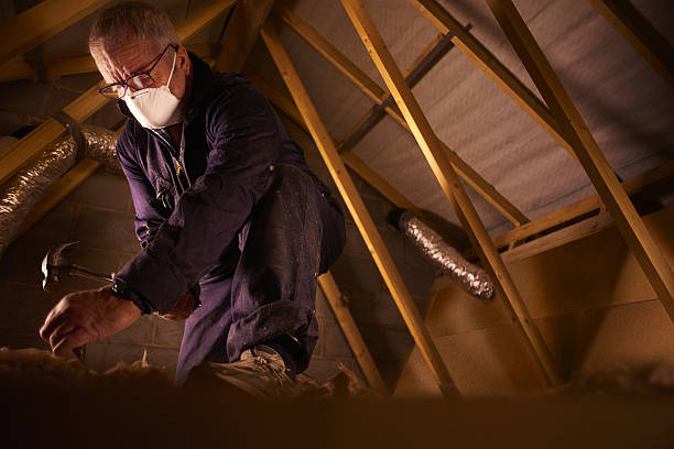 Best Cellulose Insulation  in Nappanee, IN